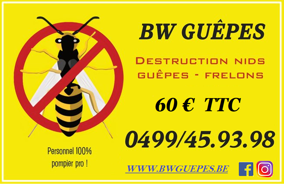 Carte de visite BW Guêpes